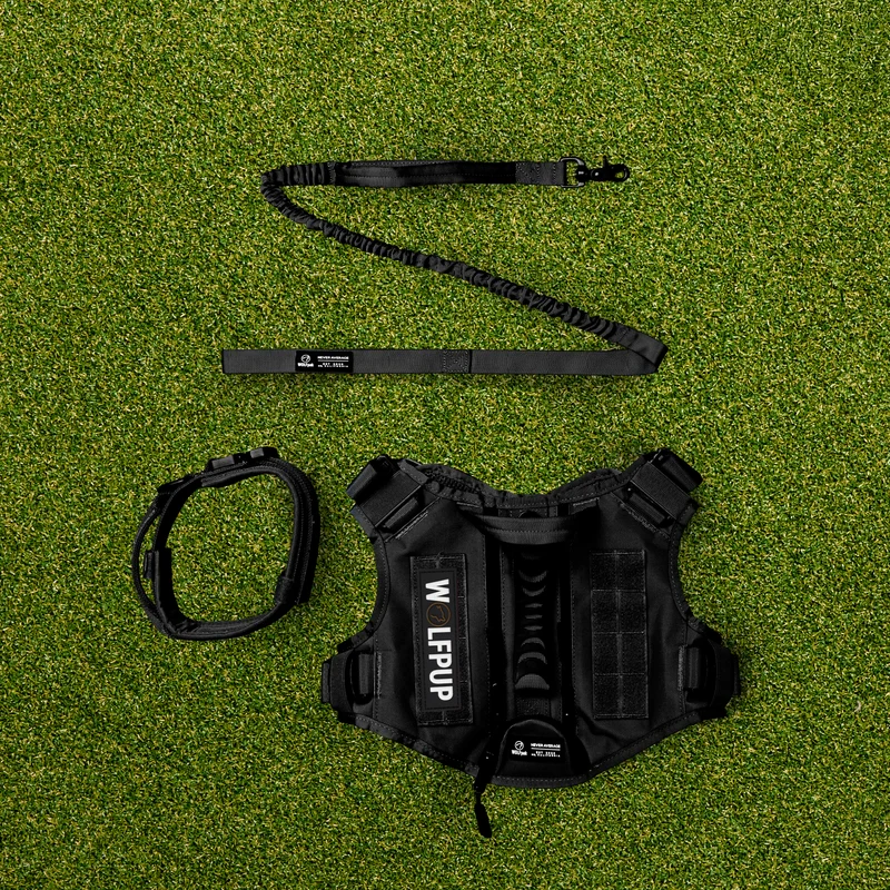 WOLFpup Bundle Black