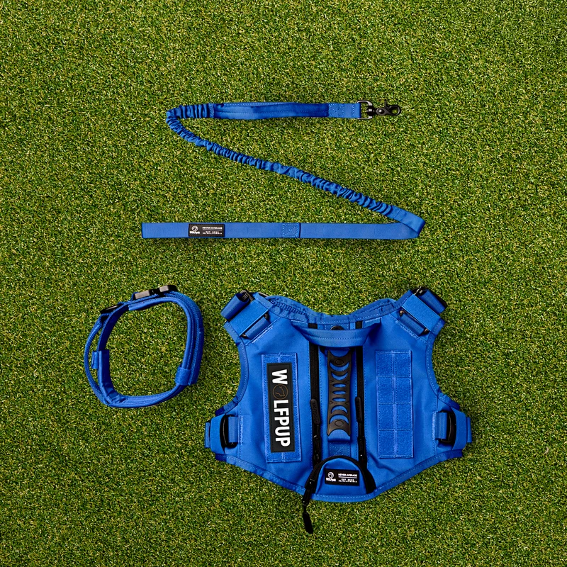 WOLFpup Bundle Blue