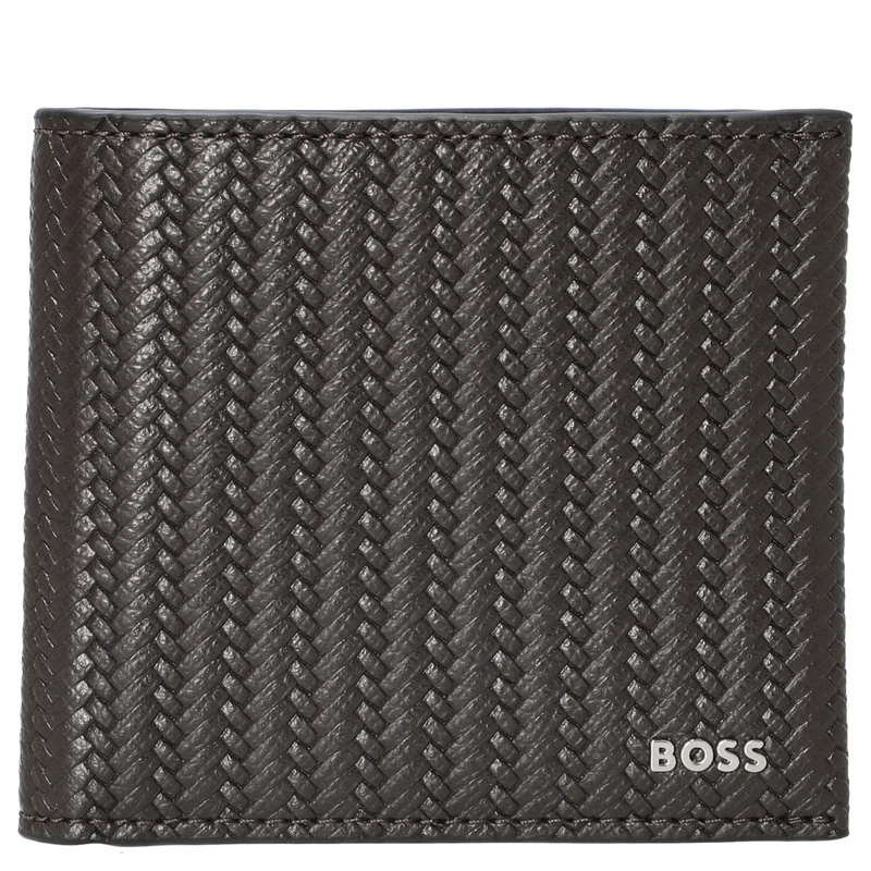 BOSS Daxter - Geldbörse 4cc (dark brown)